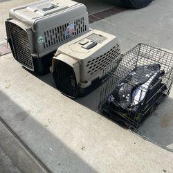 Pet Carriers  All 3 