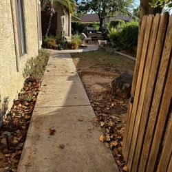 Yard Clean Up
