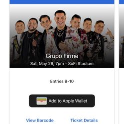Grupo Firme Floor Seats