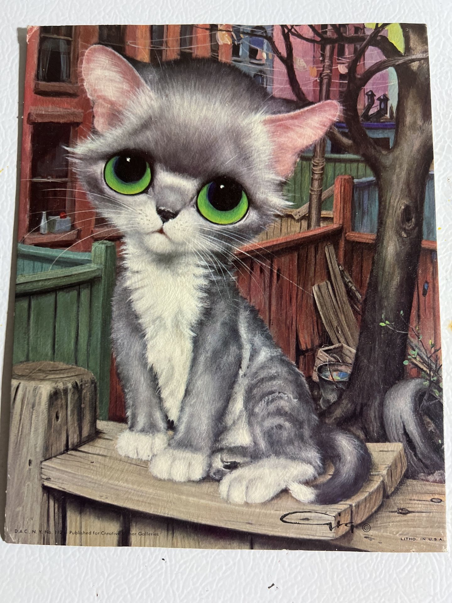 Pity Kitty