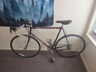 Specialized allez comp road bike with full campy