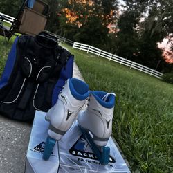 Ice Skates , Bag Included !
