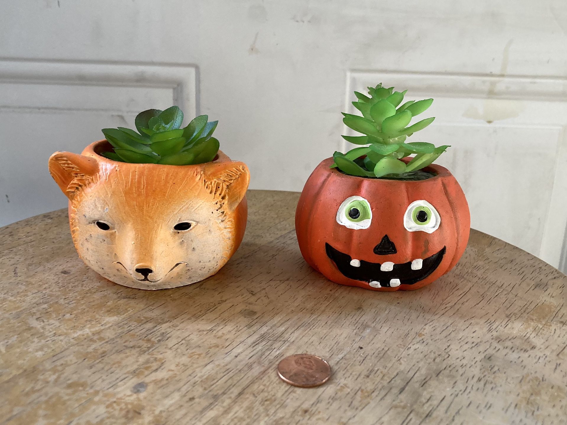 Two Replica Succulent Decorations Halloween / Autumn Theme