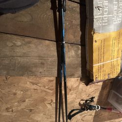 Ski Poles 