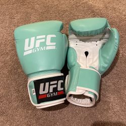 14oz Boxing Gloves