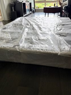 Queen Size Box Spring (Free!!)