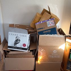 Free Moving/Storage Boxes