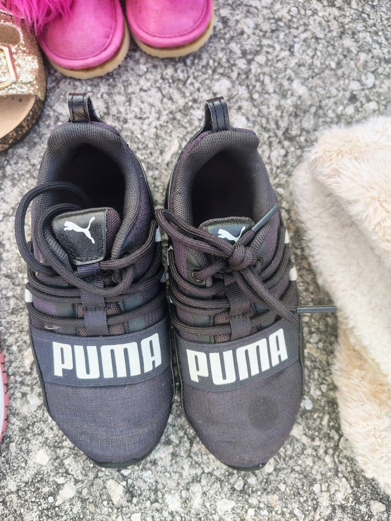 Kid Puma
