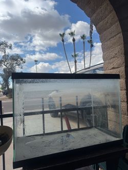 Fish tank on sale now