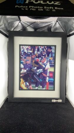 Hines Ward Pittsburgh Steelers signed  photograph