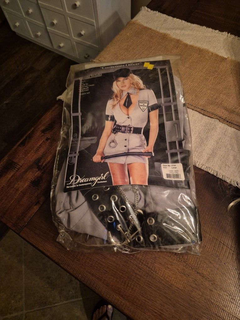 Halloween Correctional Officer Costume