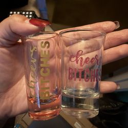 Cheers Bitches Shot Glasses