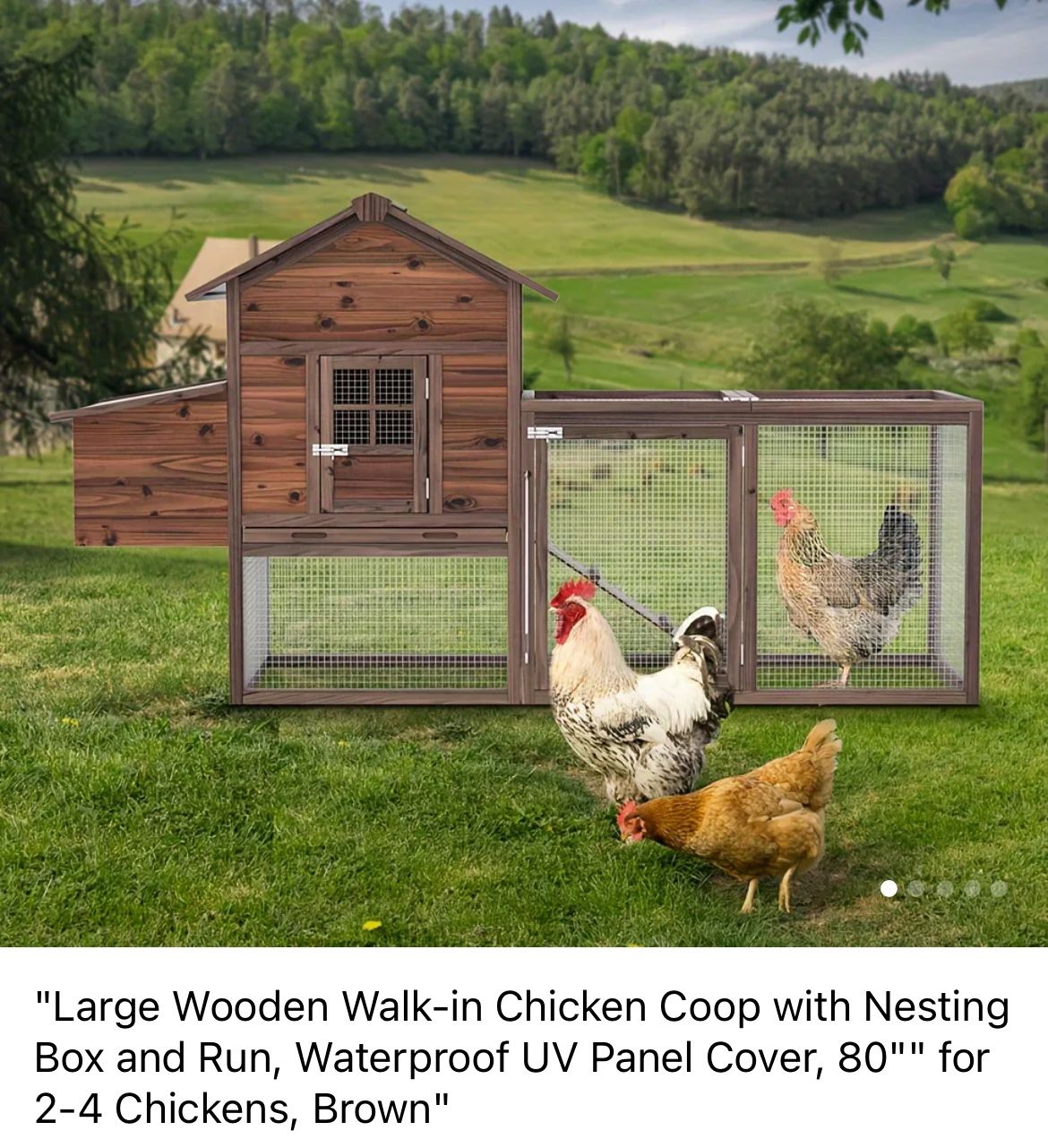 Large Chicken Coop