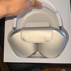 Silver Air Pod Pro 