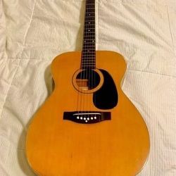 Ventura Bruno Acustic Guitar