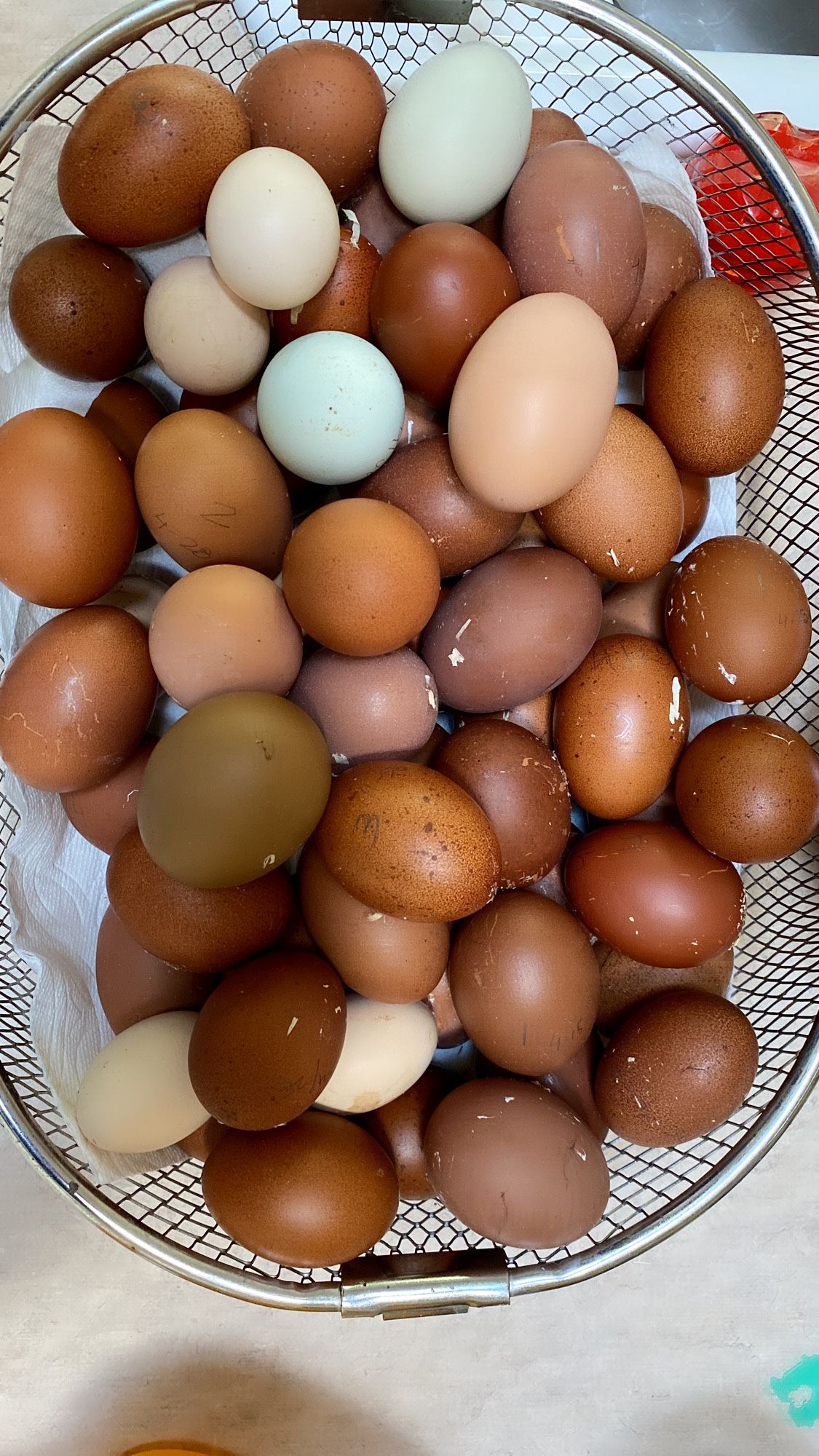 Farm Fresh Eggs Organic