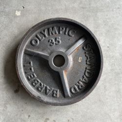 35lb Barbell Weight