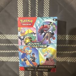 Pokémon Journey Together 