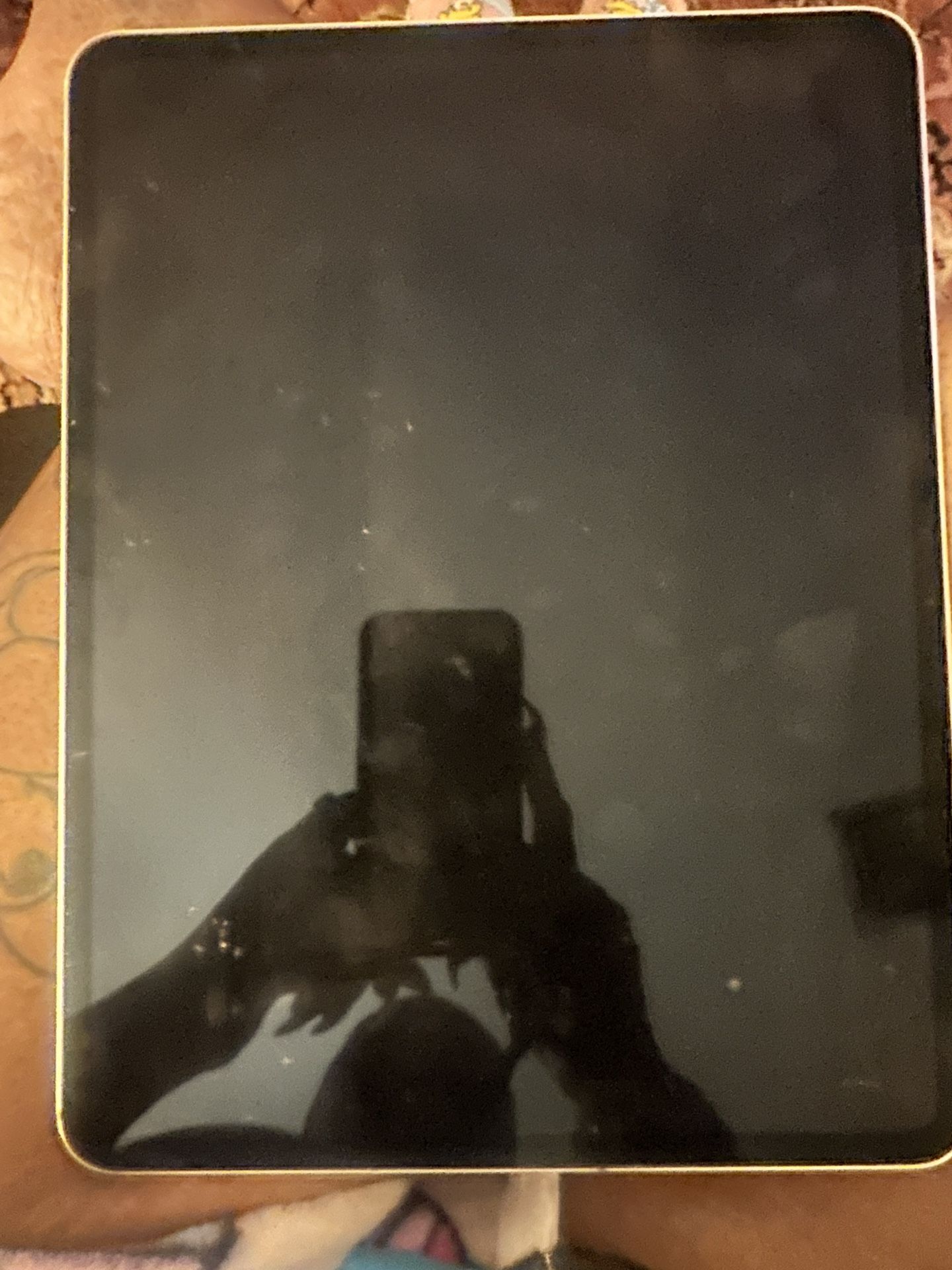 Ipad Pro 13
