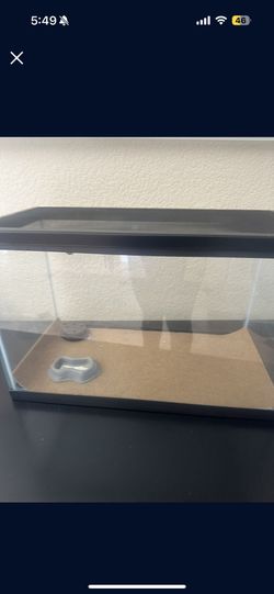 Turtle House 