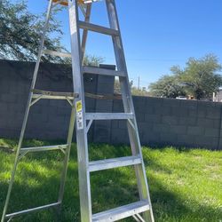 Werner 8 Ft  Aluminio Ladder 