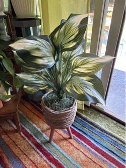 variegated artificial hosta plant in round woven basket planter with wooden mid-century style tripod legs.