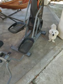 bowflex m3
