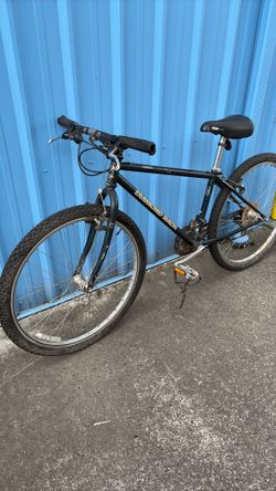 Vintage Mountain bike 1990s