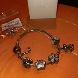 Pandora Bracelet 