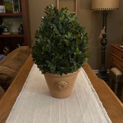 Boxwood Topiary 