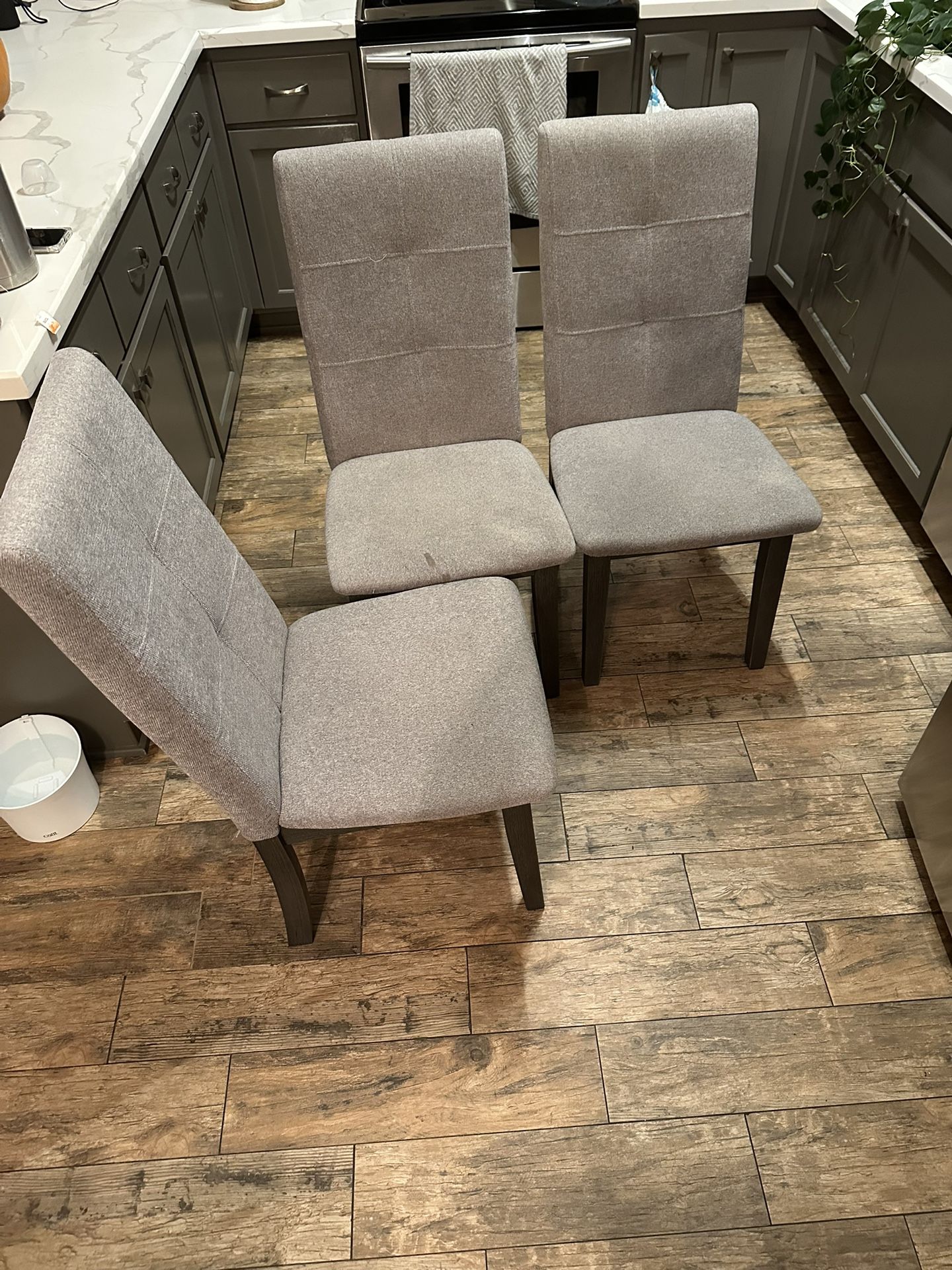 Dining Chairs