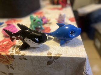 Little Live Pets And Babyshark