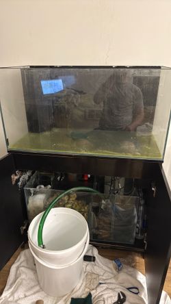 40 gallon display 20 gallon sump and stand need gone before 8/11