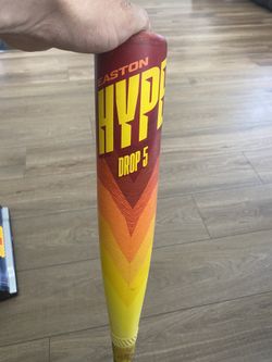 The Hype Baseball Bat