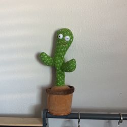 Dancing Cactus