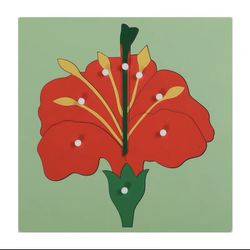 Montessori Toddler/ Kids Plants/ Animals/ Insect Puzzles 