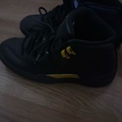 jordan 12