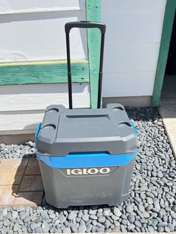 Igloo Max Call Cooler box 62 QT