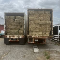 Hay