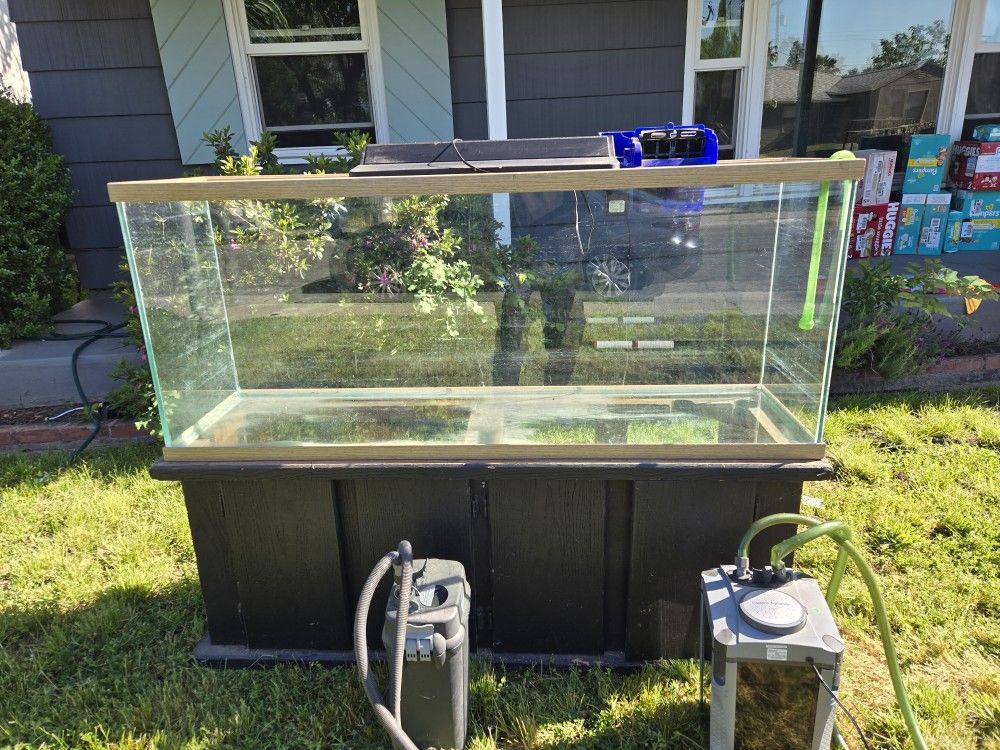 Fish Tank