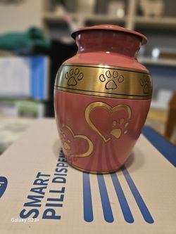 Medium Pet Urns