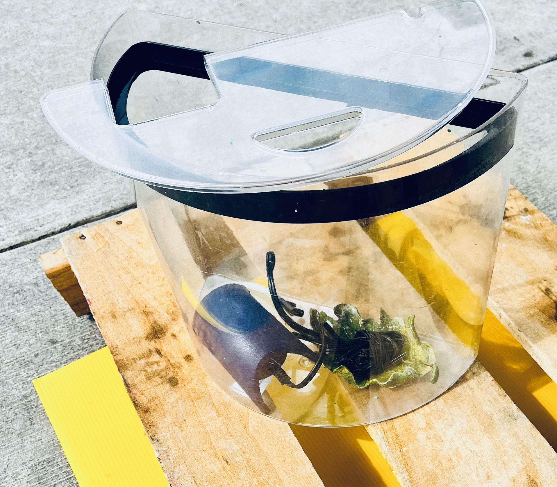 HALF MOON FISH TANK/ AQUARIUM W LEAF TANK DECOR & WHISPER 10 AIR PUMP!