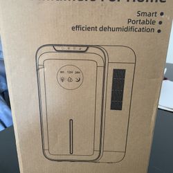 Dehumidifier for home 