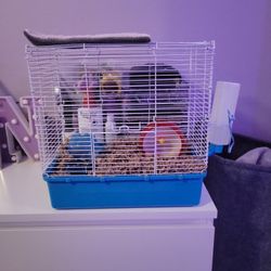 Hamster  And Cage
