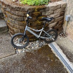 Youth Bicycle