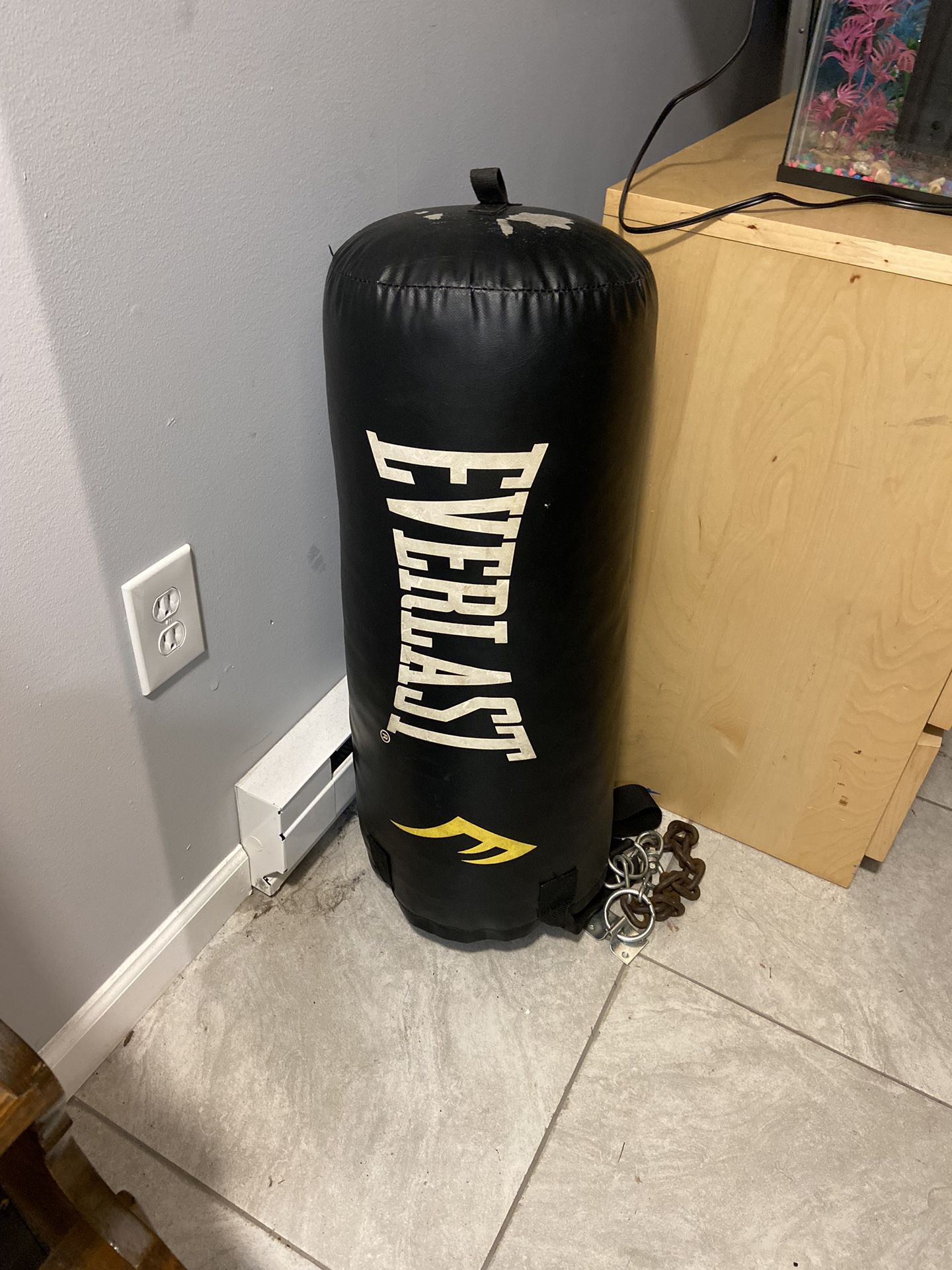 Everlast punching bag (negotiable) 