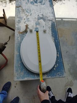 Brand New Toilet Seat