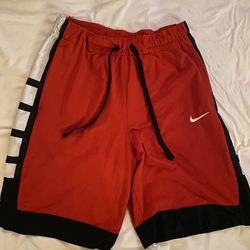 Nike Mens Dri Fit Shorts