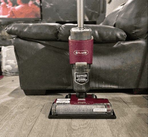 Double Vacuum Cleaner - Heavy-Duty Cleaning record with