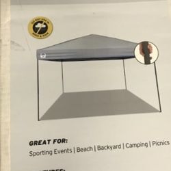12’ Blast Speed Set Canopy